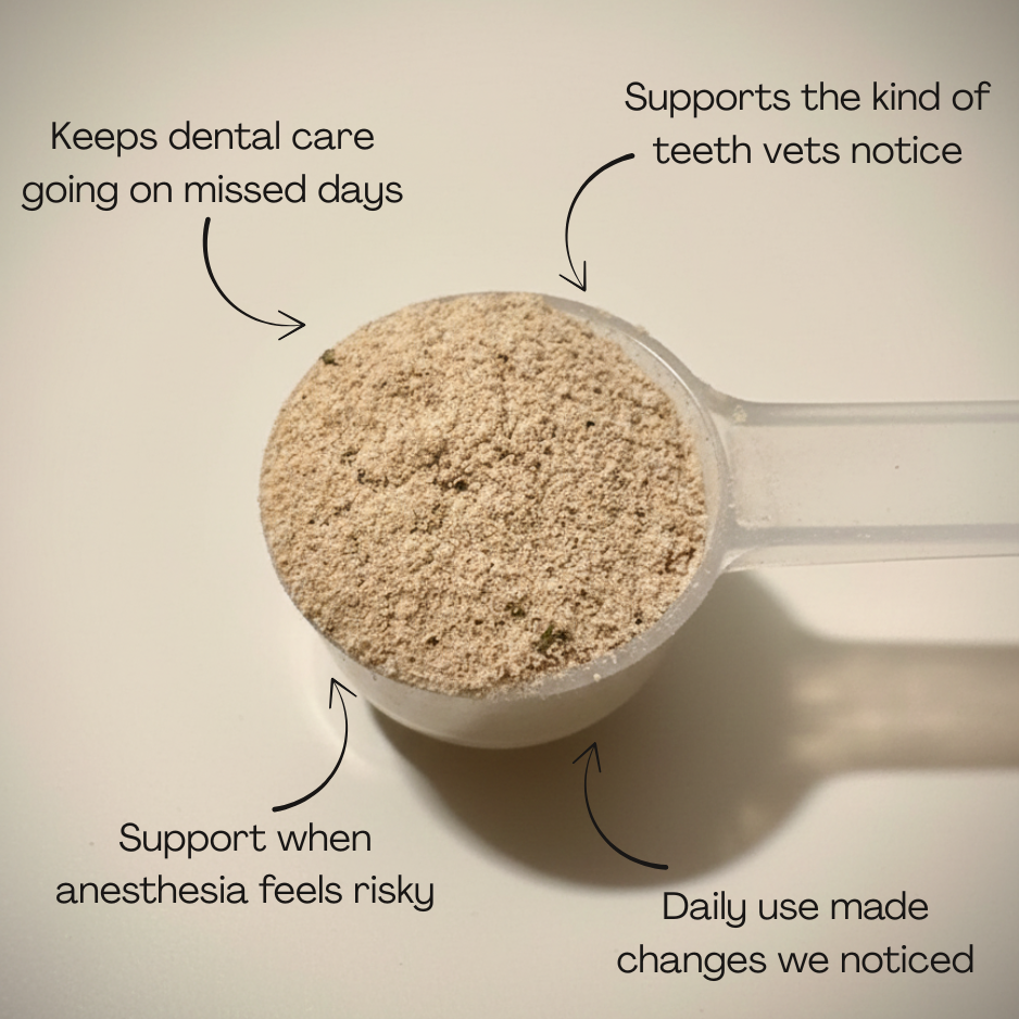 DentivaMint™ – Breaks Down Plaque Before It Hardens