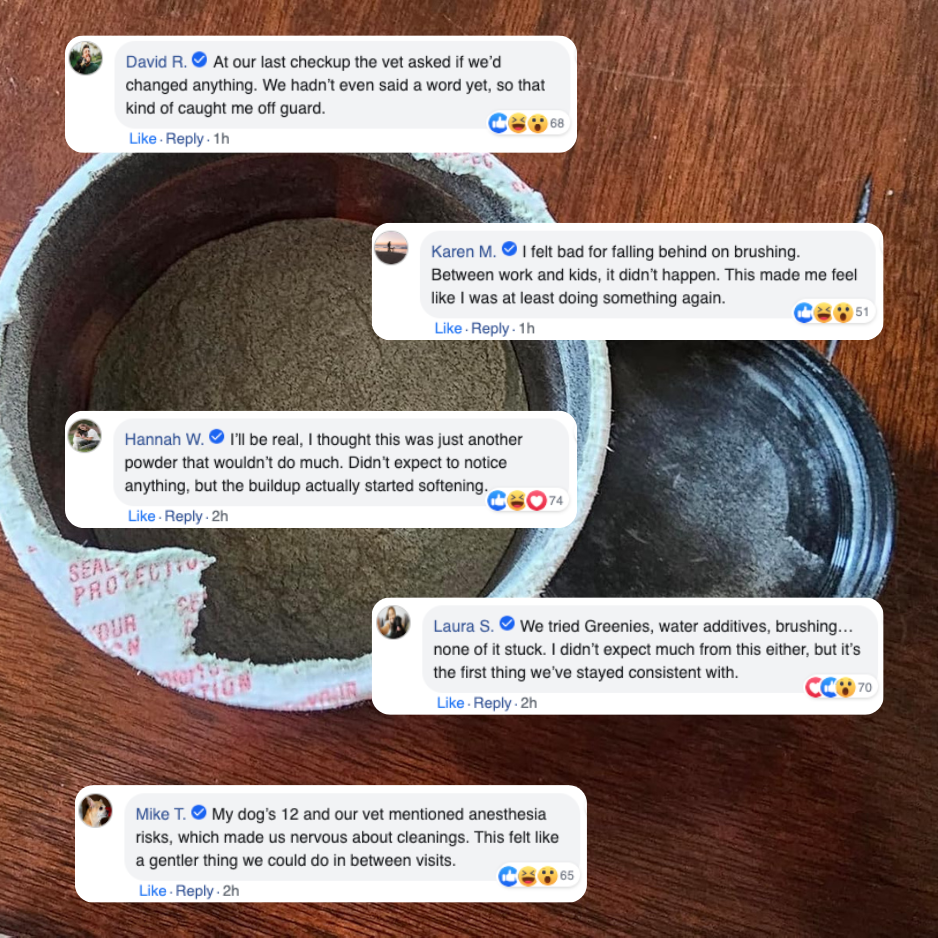 DentivaMint™ – Breaks Down Plaque Before It Hardens