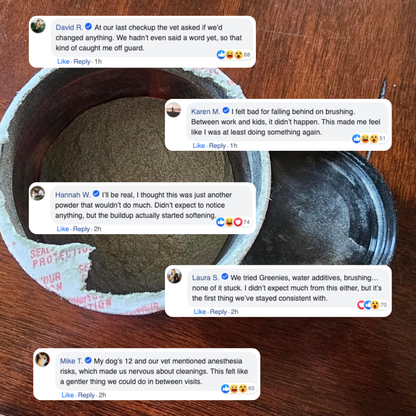 DentivaMint™ – Breaks Down Plaque Before It Hardens